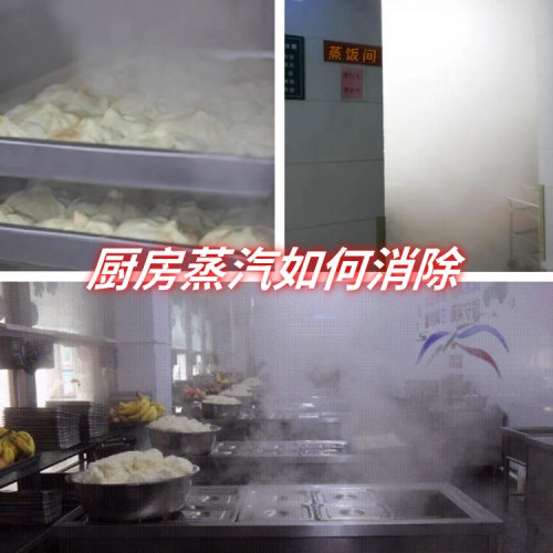 蒸汽处理方法500.jpg
