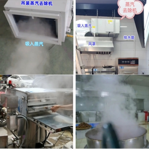肠粉机蒸汽 去除机500.jpg