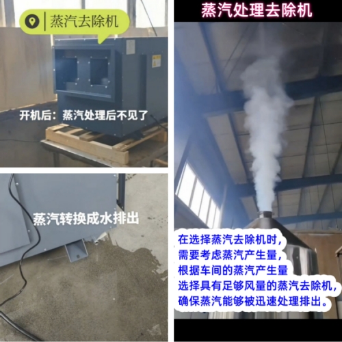 日业 蒸汽去除机 500.jpg