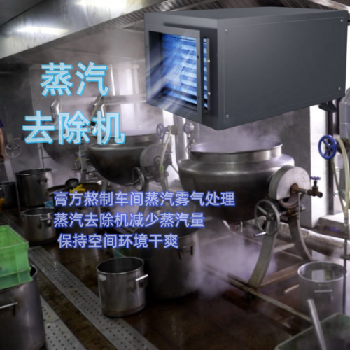 膏方熬制车间 蒸汽处理去除机500.png