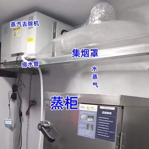 日业 RY-880G蒸汽去除机 应用案例.jpg 500.jpg