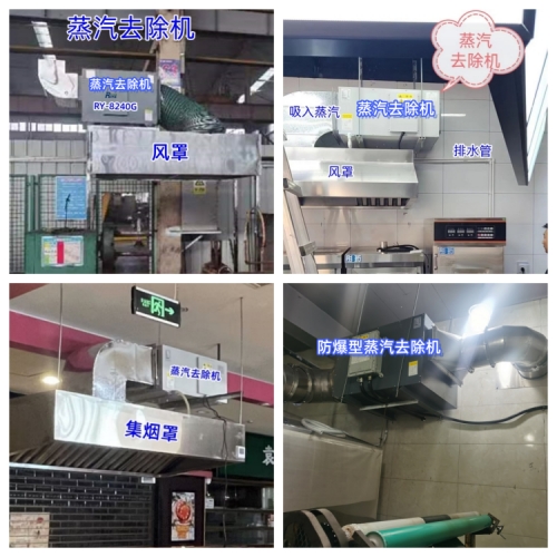 蒸汽去除机安装案例500.jpg