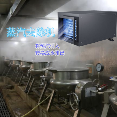 中药熬制锅蒸汽去除机500.png