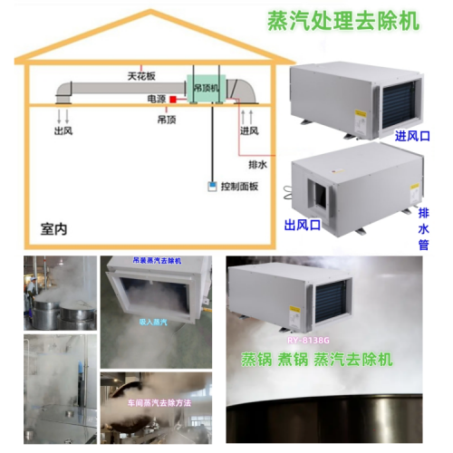 日业 蒸汽处理 去除机500.png