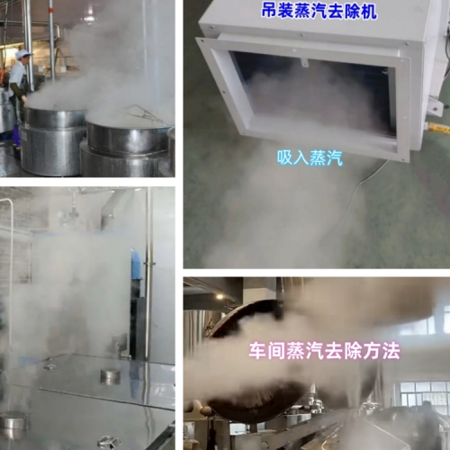 日业 车间蒸汽去除机500.jpg