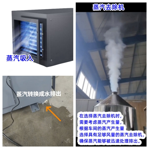 蒸汽去除机  500.jpg
