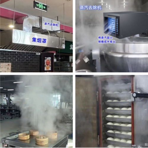 包子铺蒸汽去除机500.jpg