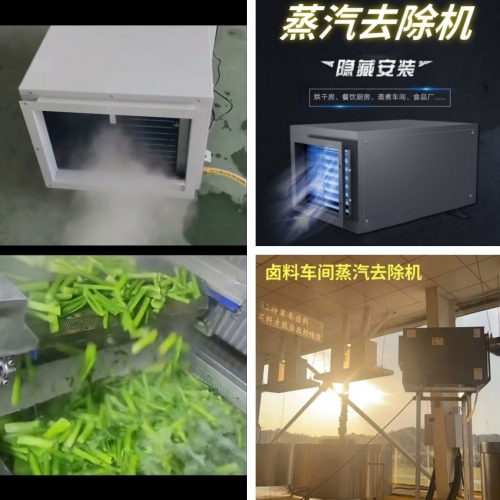 漂烫车间蒸汽去除机500.jpg