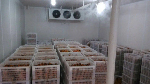 果蔬保鲜库加湿机 果蔬保鲜冷库雾化加湿装置(图3)
