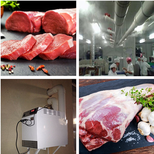 肉类排酸库需要加湿器控湿 鲜肉冷却排酸间湿度系统解决方案(图1)