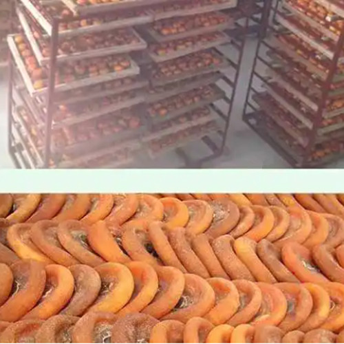 柿饼烘干机 柿子饼烘干除湿一体机 模拟阴干方式温湿度智能控制(图5)