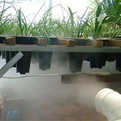 兰花大棚加湿器 兰花栽培种植大棚喷雾增湿器湿度解决方案(图2)