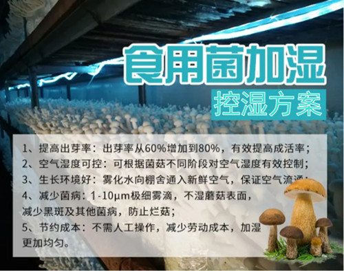 菌菇房加湿器 食用菌大棚使用的超声波加湿器(图2)