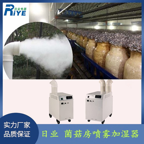 1-2211020TP91R.jpg