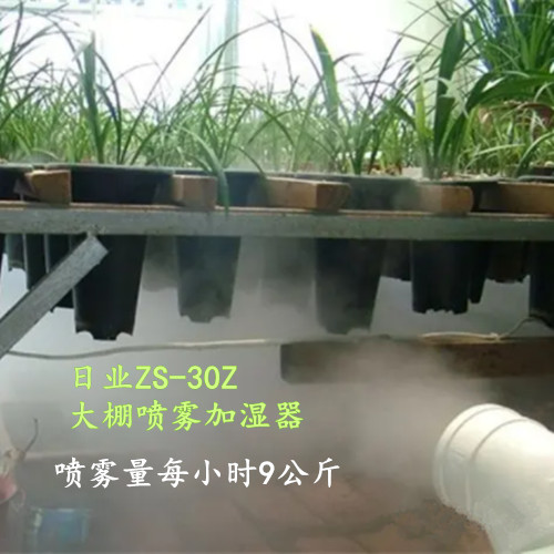 温室大棚内空气湿度如何增加？超声波加湿器改善种植环境(图5)