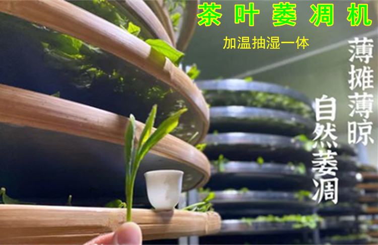 茶叶萎凋除湿机 一种茶叶调温除湿萎凋装置(图5)