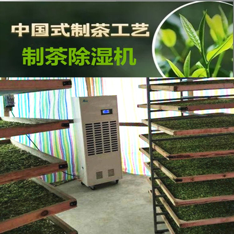茶叶萎凋烘干机告诉你白茶、红茶萎凋工艺的重要性(图3)