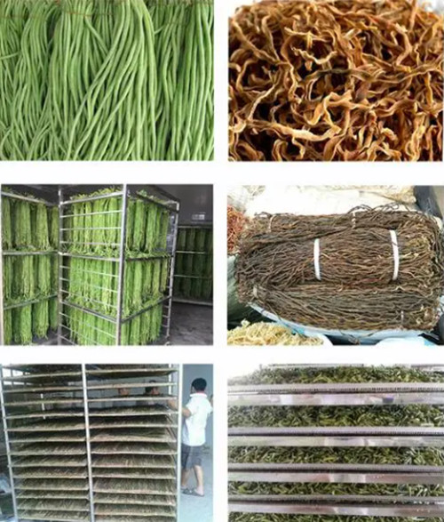 农产品烘干机 蔬菜烘干除湿机制作干菜让农民增收(图2)