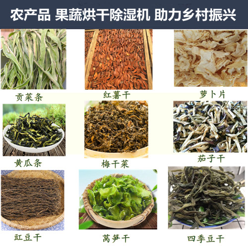 果蔬烘干除湿机助力乡村产业振兴(图1)