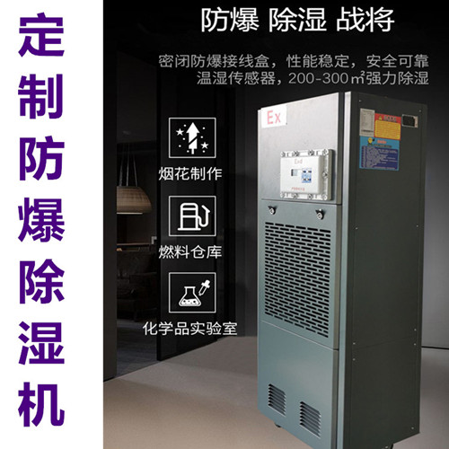 工业 仓库防爆除湿机(图4)