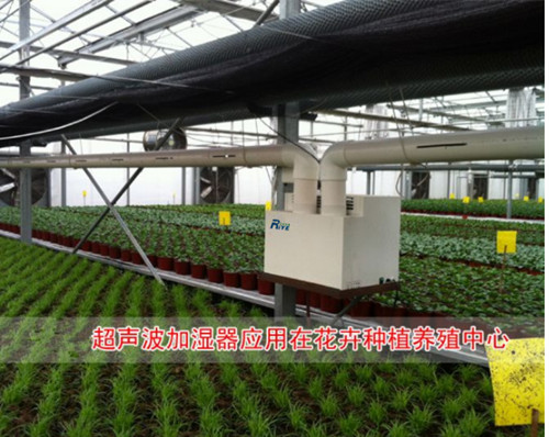 农业大棚加湿器 温室大棚智能喷雾加湿机助力农业发展(图1)