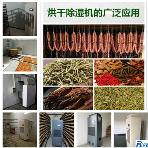 鱼干烘干机,快速排湿提高效率(图4)
